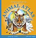 Amazing Pop Up Animal Atlas