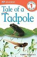 Tale Of A Tadpole Dk Readers Level 1