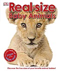 Real Size Baby Animals