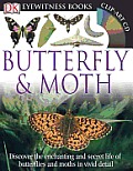 DK Eyewitness Books Butterfly & Moth