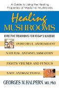 Healing Mushrooms: Effective Treatments for Today's Illnesses