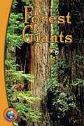 Forest Giants