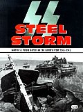 SS Steel Storm Waffen SS Panzer Battles on the Eastern Front 1943 1945