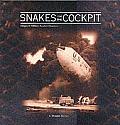 Snakes in the Cockpit Images of Military Aviation Disasters