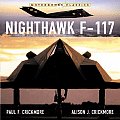 Nighthawk F 117 Stealth Fighter