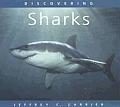 Discovering Sharks