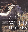 All the Wild Horses Preserving the Spirit & Beauty of the Worlds Wild Horses
