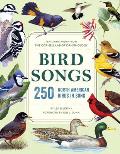Bird Songs 250 North American Birds in Song