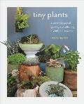 Tiny Plants Discover the Joys of Growing & Collecting Itty Bitty Houseplants