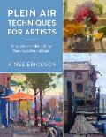 Plein Air Techniques for Artists Principles & Methods for Painting in Natural Light
