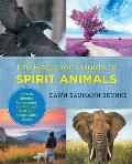 Beginners Guide to Spirit Animals How to Identify Understand & Connect with Your Animal Spirit Guide