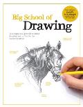 Big School of Drawing Well explained practice oriented drawing instruction for the beginning artist