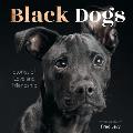 Black Dogs: Stories of Love and Friendship