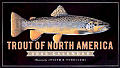 Cal05 Trout Of North America