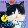 Cal09 365 Cats Page A Day