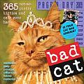 Bad Cat Page A Day Calendar 365 Not So Pretty Kitties & Cats Gone Bad