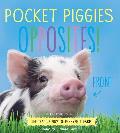 Pocket Piggies Opposites