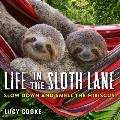 Life in the Sloth Lane Slow Down & Smell the Hibiscus