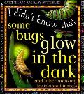 Some Bugs Glow In The Dark & Other