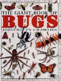 Giant Book Of Bugs & Other Creepy Crawlies
