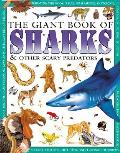 Giant Book Of Sharks & Other Scary Preda