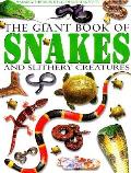 Giant Book Of Snakes & Slithery Creature