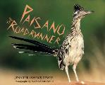 Paisano The Roadrunner