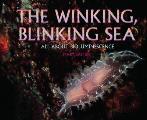 Winking Blinking Sea Bioluminescence