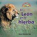 El Leon En La Hierba the Lion in the Grass