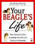 Your Beagles Life