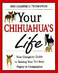 Your Chihuahuas Life Your Complete Guide To Ra