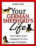 Your German Shepherds Life