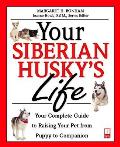 Your Siberian Huskys Life