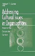 Addressing Cultural Issues in Organizations: Beyond the Corporate Context
