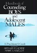 Handbook of Counseling Boys and Adolescent Males: A Practitioner's Guide