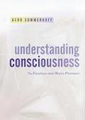 Understanding Consciousness: Its Function and Brain Processes