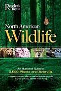 North American Wildlife Revised & Updated