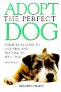 Adopt The Perfect Dog A Practical Guide To Cho