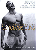 Mammoth Book of Gorgeous Guys