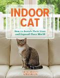 Indoor Cat How to Enrich Their Lives & Expand Their World