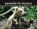 Growing Up Grizzly The True Story of Baylee & Her Cubs