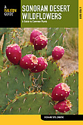 Sonoran Desert Wildflowers 2nd Edtion A Guide to Common Plants