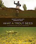 What a Trout Sees A Fly Fishing Guide to Life Underwater