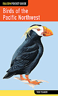 Falcon Pocket Guide Birds of the Pacific Northwest
