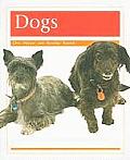 Pets: Dogs: Individual Student Edition Orange (Levels 15-16)