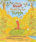 What Newt Could Do For Turtle
