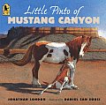 Little Pinto Of Mustang Canyon