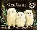 Owl Babies with DVD