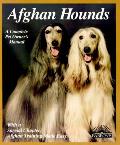 Afghan Hounds