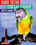 Guide To The Senegal Parrot & Its Family